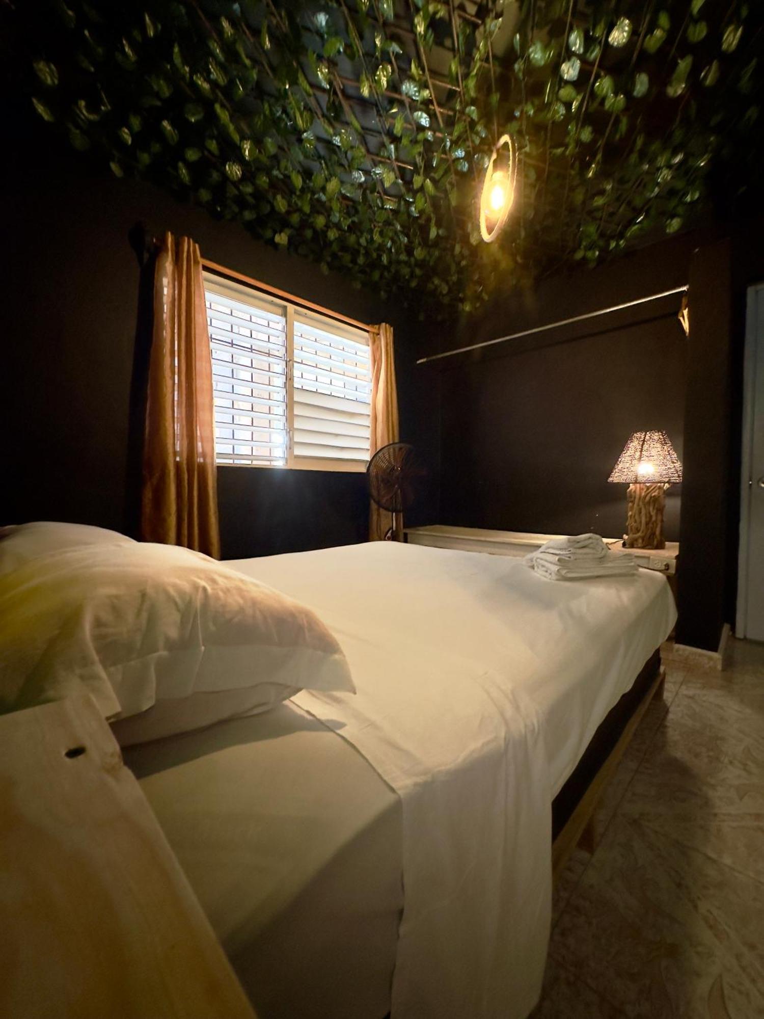 Samana Hostel Watermelon House מראה חיצוני תמונה